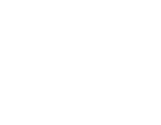 Autismo Puebla A.C.